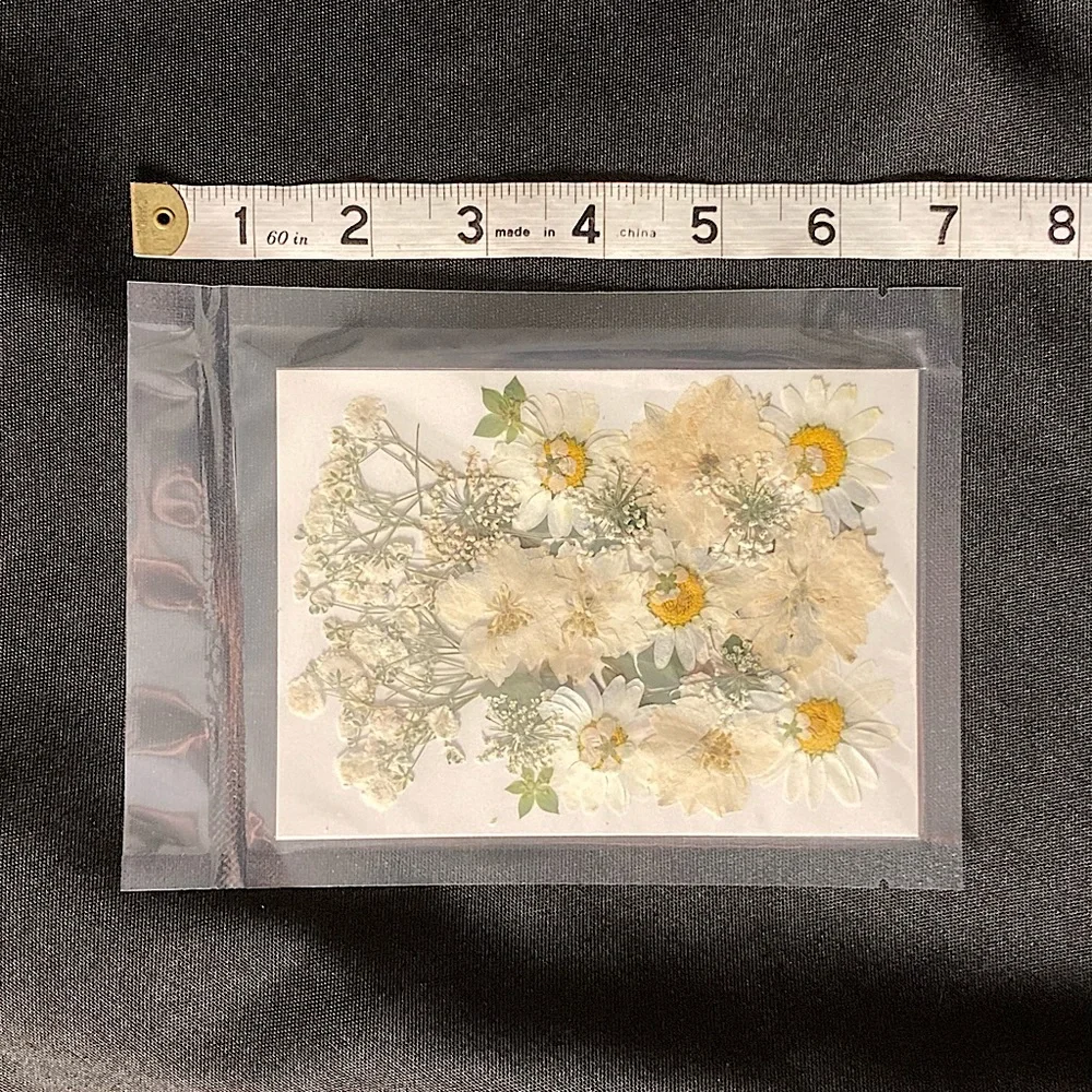 ⭐️ Pressed Flowers Bulk White Dried Flowers Two Pack For Crafting